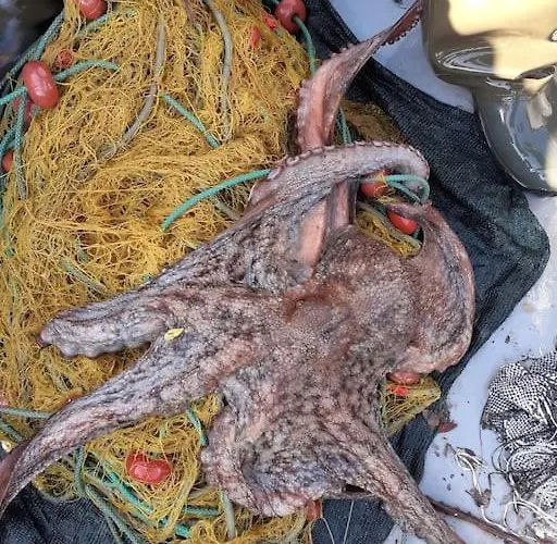 Limnionas Sunview Ferienhaus Xorychti